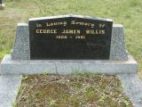 image of grave number 950314